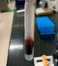 Figure 3 - pic 1
