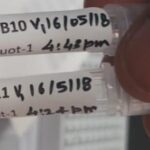 Labeling specimens