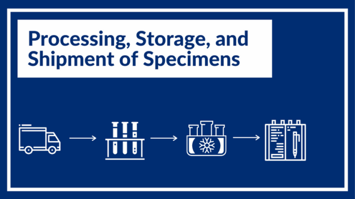 Specimen Processing_header graphic